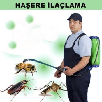 Arguvan Böcek İlaçlama